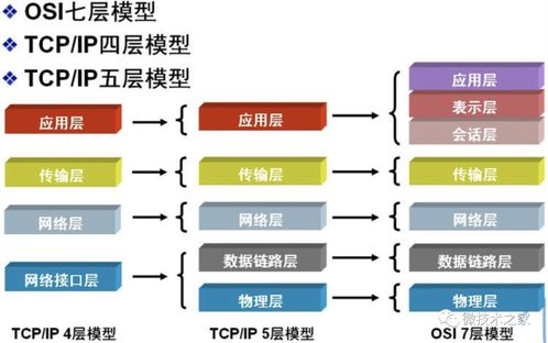 計算機網絡基礎 從原理到安裝維護的全面指南