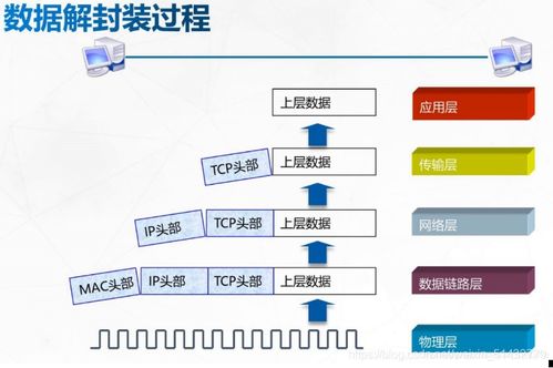 計算機網絡的參考模型