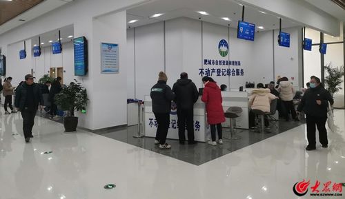 肥城市不動產登記中心 “四個著力”賦能現代服務企業，不動產登記全程提速增效